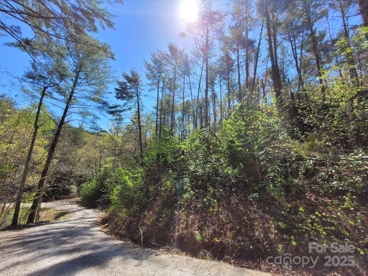 167 Fox Rdg Trail Marion, NC 28752 - Photo 6 of 12 a backyard of a house with lots of green space