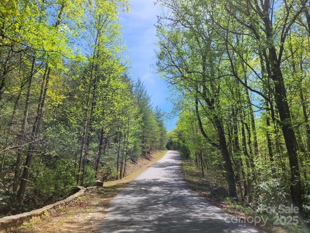 167 Fox Rdg Trail Marion, NC 28752 - Photo 8 of 12 a view of a yard with plants and trees