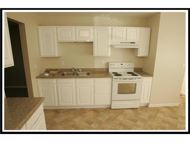 5125 Drivemere Road Hilliard, OH 43026 - Photo 15 of 18 Gallery Image 15