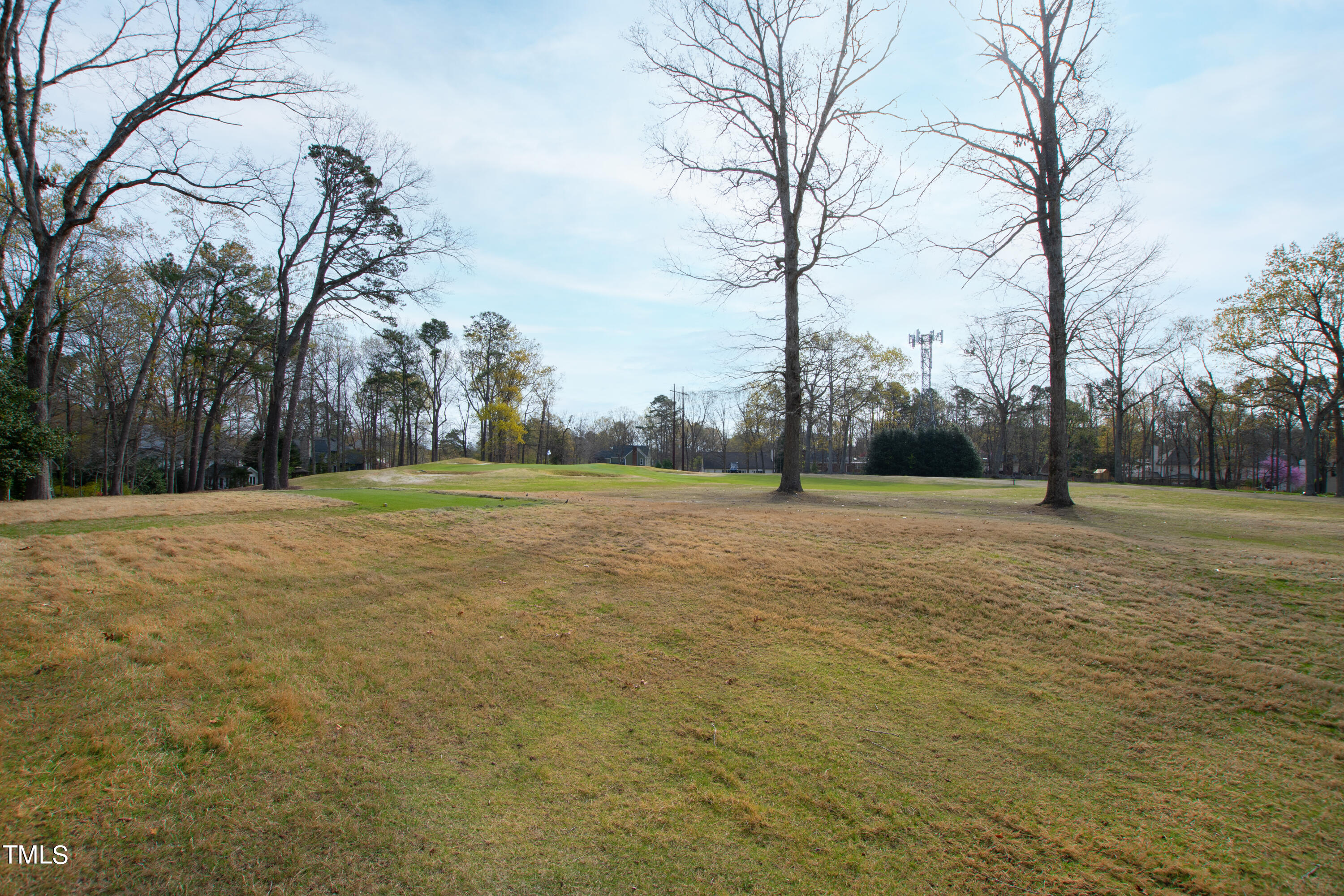8108 Harps Mill Road Raleigh, NC 27615 - Photo 60 of 64 a view of pool and trees in the background
