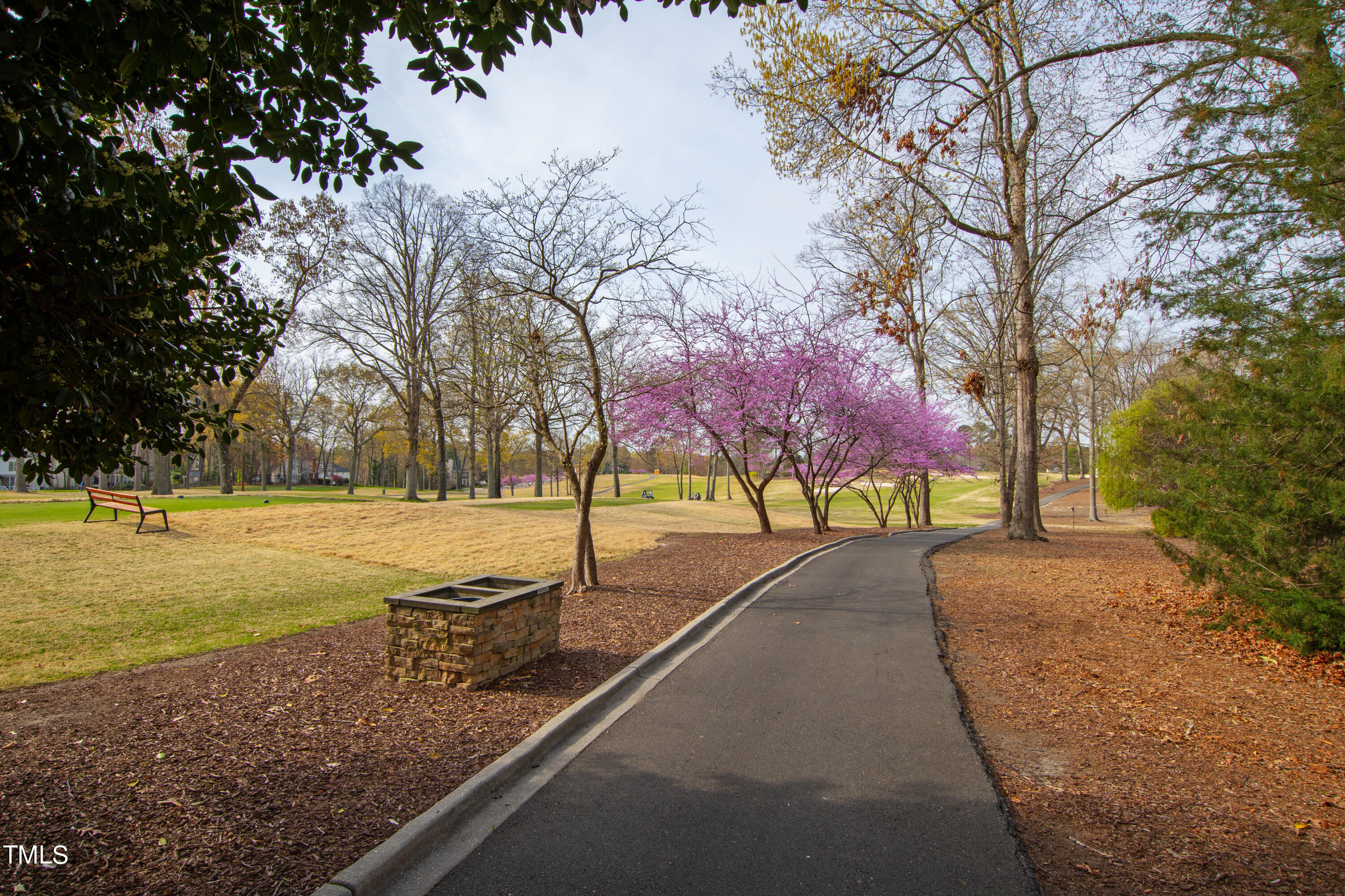 8108 Harps Mill Road Raleigh, NC 27615 - Photo 61 of 64 a view of swimming pool with trees