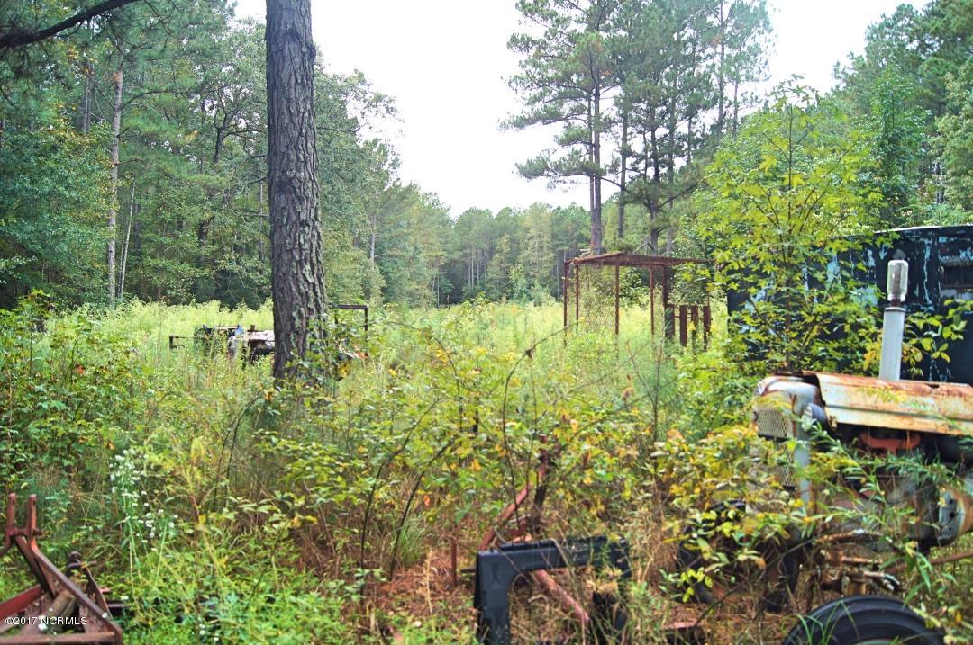 6245 North Boyd Road Pinetown, NC 27865 - Photo 17 of 20 017_Acreage