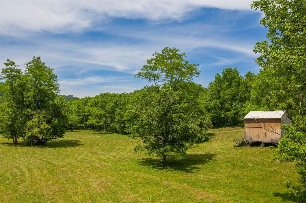 4255 Oregon Road Versailles, KY 40383 - Photo 1 of 37 Photo 1