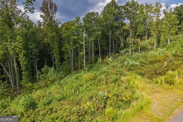 $129,900 | 275 Highgrove Drive, Talking Rock, GA 30175