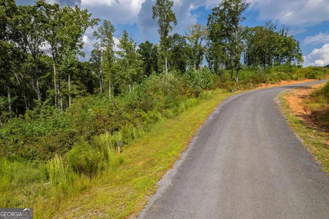 a view of a lake from a garden