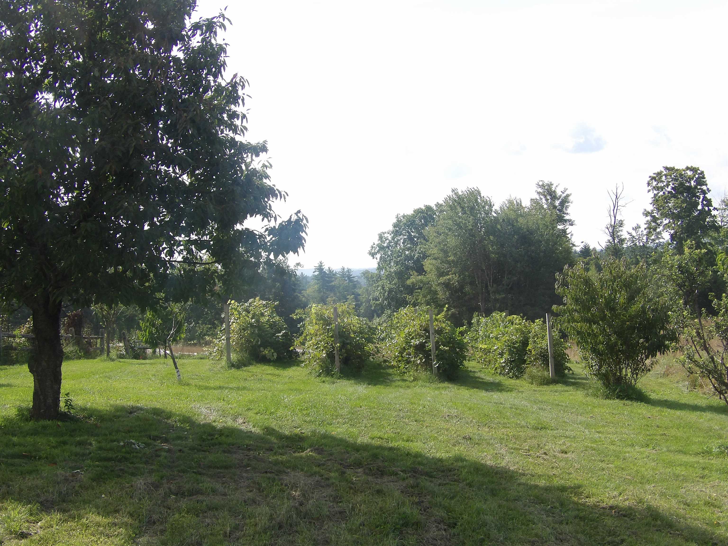 631 Hunkins Pond Road Sanbornton, NH 03269 - Photo 9 of 43 Gallery Image 9