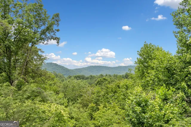 a view of a bunch of trees