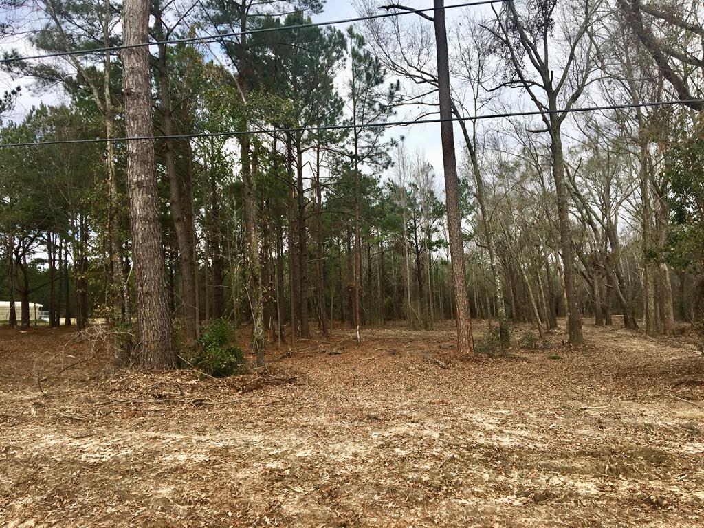 Lot 4 Oppert Road Dothan, AL 36301 - Photo 1 of 1