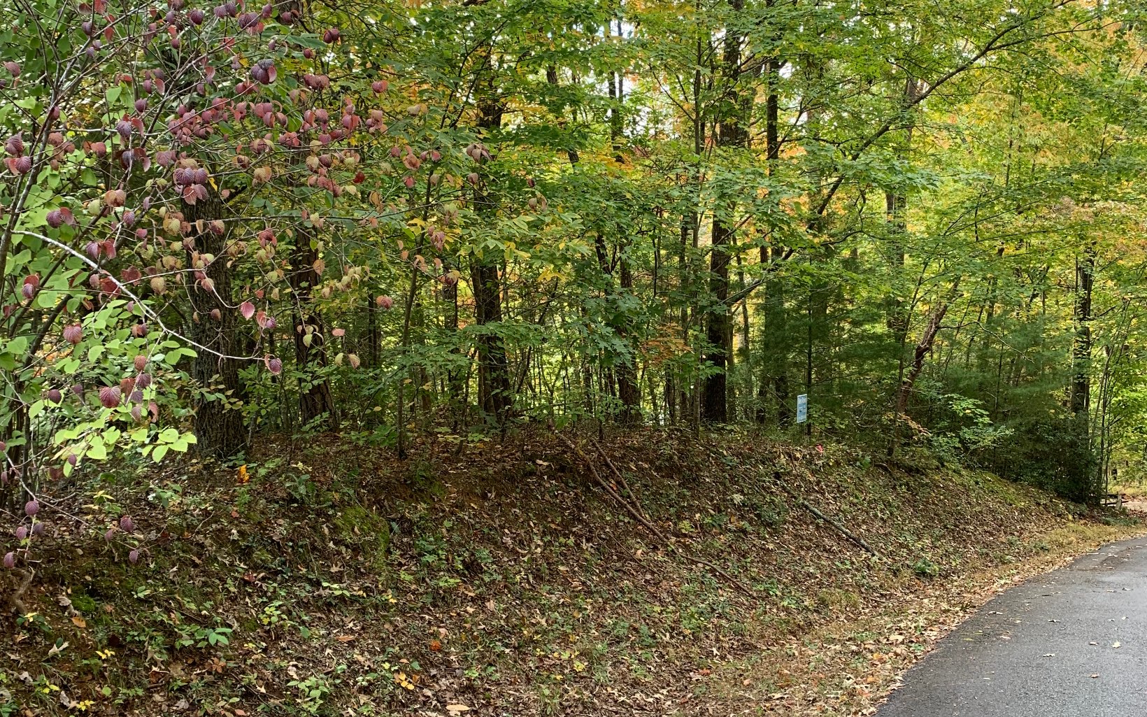 Lonsome Pine Road Murphy, NC 28906 - Photo 2 of 4 Additional View