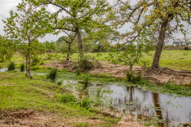 $7,250,000 | 2958 Highway 36, Bellville, TX 77418