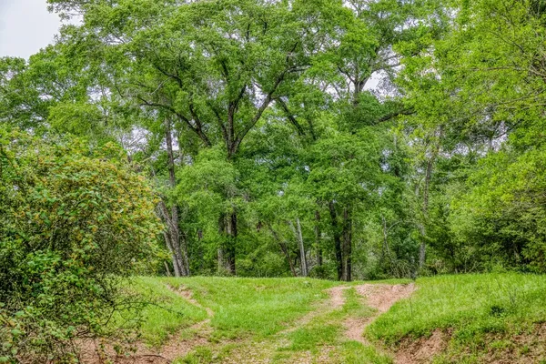 $7,250,000 | 2958 Highway 36, Bellville, TX 77418