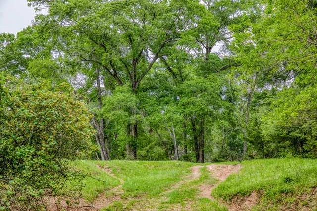 $7,250,000 | 2958 Highway 36, Bellville, TX 77418