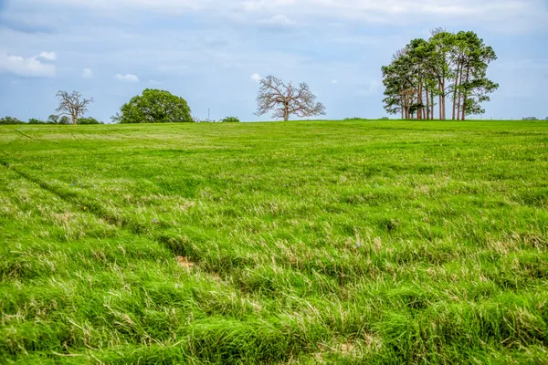 $7,250,000 | 2958 Highway 36, Bellville, TX 77418