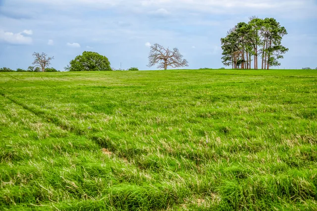 $7,250,000 | 2958 Highway 36, Bellville, TX 77418