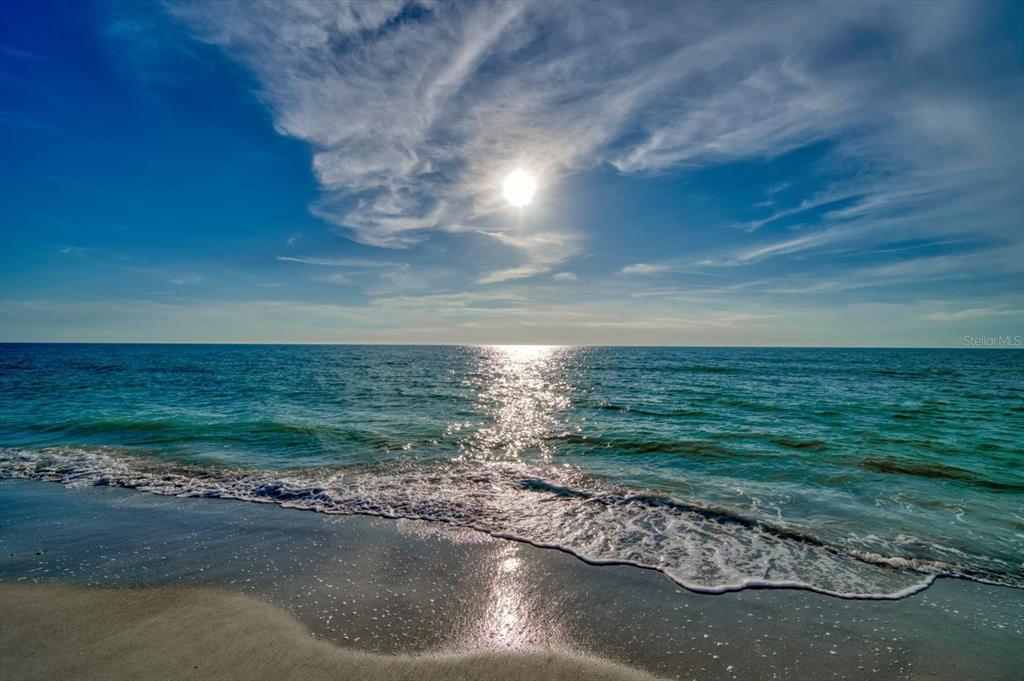93 The Cv Way Indian Rocks Beach, FL 33785 - Photo 46 of 61 Gallery Image 46