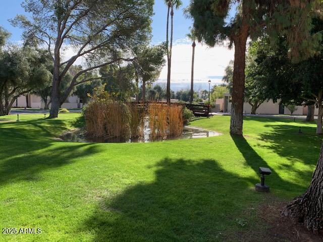930 South Dobson Road, Unit 23 Mesa, AZ 85202 - Photo 13 of 13 a view of a park with large trees