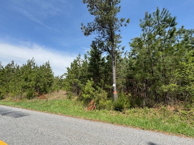 Stage Road, Unit 2 Spout Spring, VA 24593 - Photo 7 of 8 Gallery Image 7