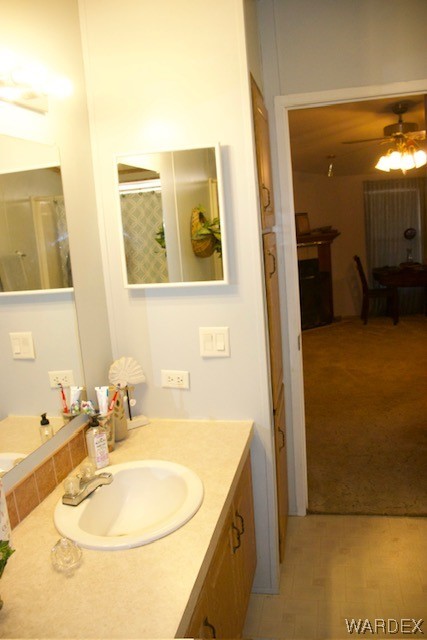 4245 Cibola Road Golden Valley, AZ 86413 - Photo 18 of 21 a bathroom with a sink a mirror and a shower