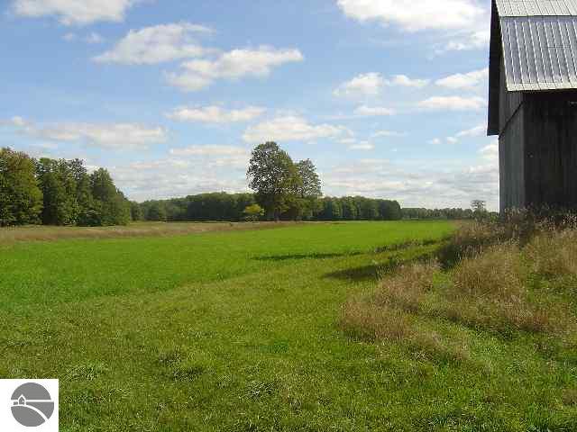 10777 Karlin Road Buckley, MI 49620 - Photo 6 of 9 1683666-5.JPG