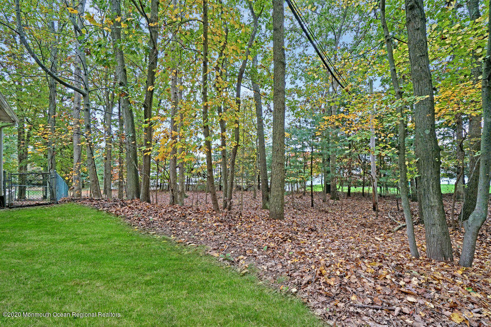194 Bartley Road Jackson, NJ 08527 - Photo 53 of 56 068_dsc06389-dsc06393_1