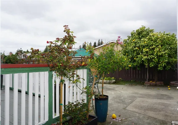 a view of a backyard
