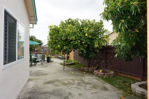 a view of backyard with plants and outdoor seating