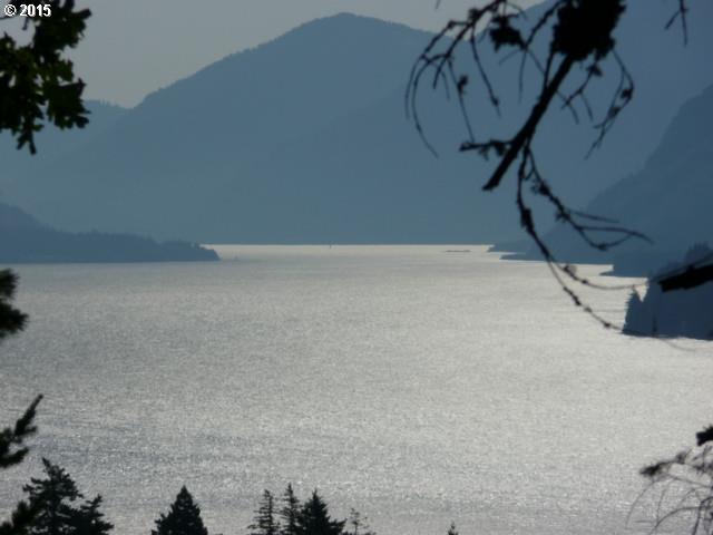 152 Button Road Stevenson, WA 98648 - Photo 14 of 15 Gallery Image 14