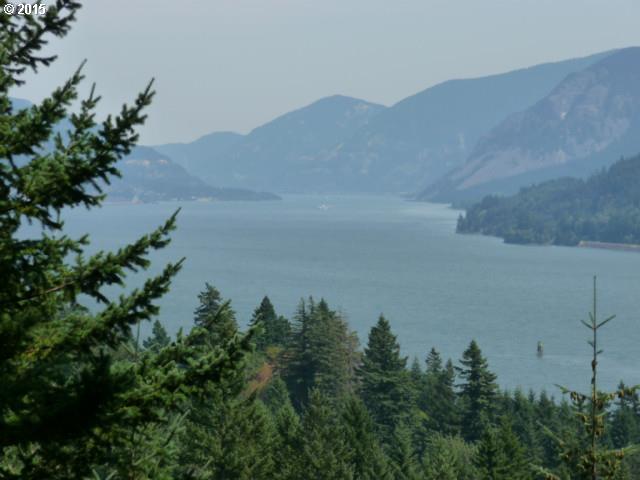 152 Button Road Stevenson, WA 98648 - Photo 15 of 15 Gallery Image 15