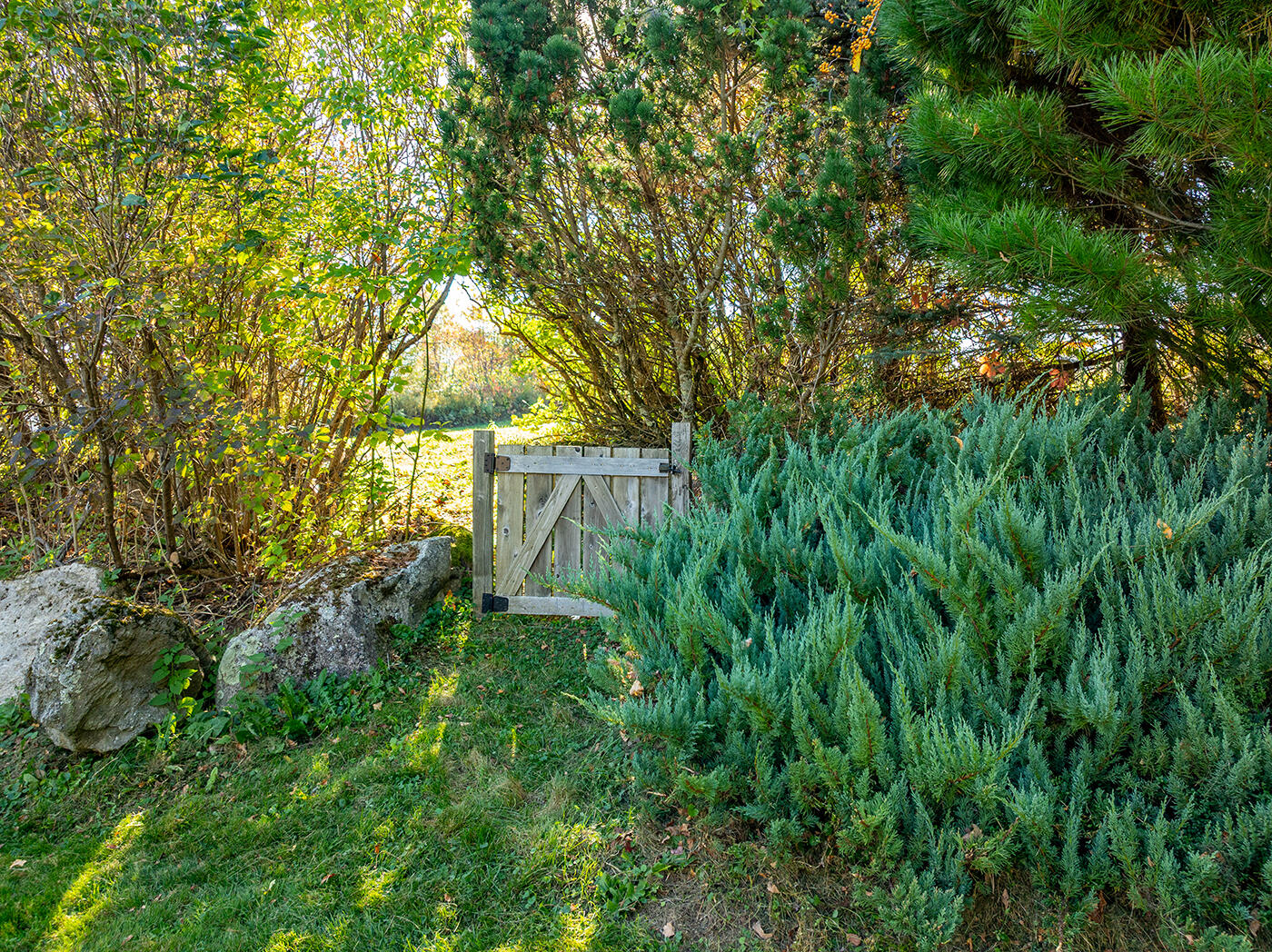 595 Overlock Hill Road Union, ME 04862 - Photo 71 of 94 DJI_0809