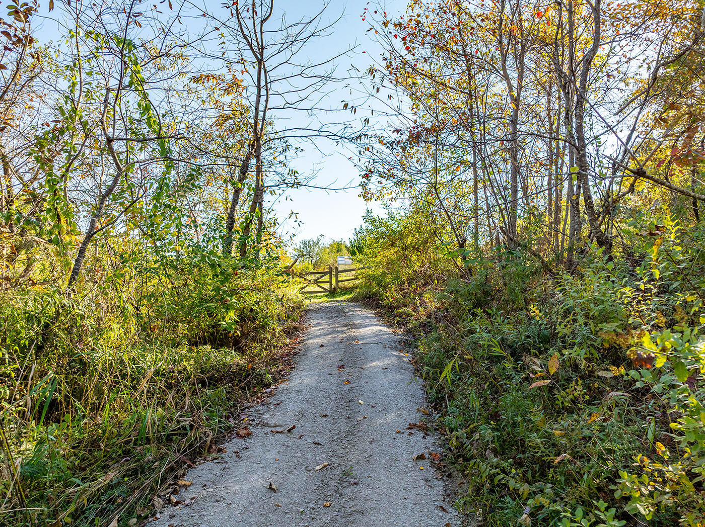 595 Overlock Hill Road Union, ME 04862 - Photo 84 of 94 DJI_0827