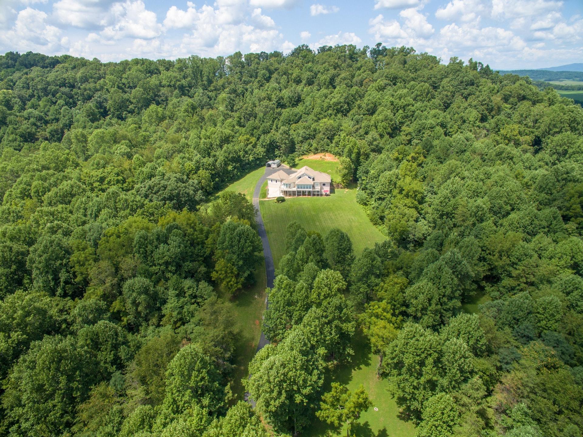 646 Hardbarger Road Buchanan, VA 24066 - Photo 64 of 72 064-245131-646 Harbarger 08092017 4_5486