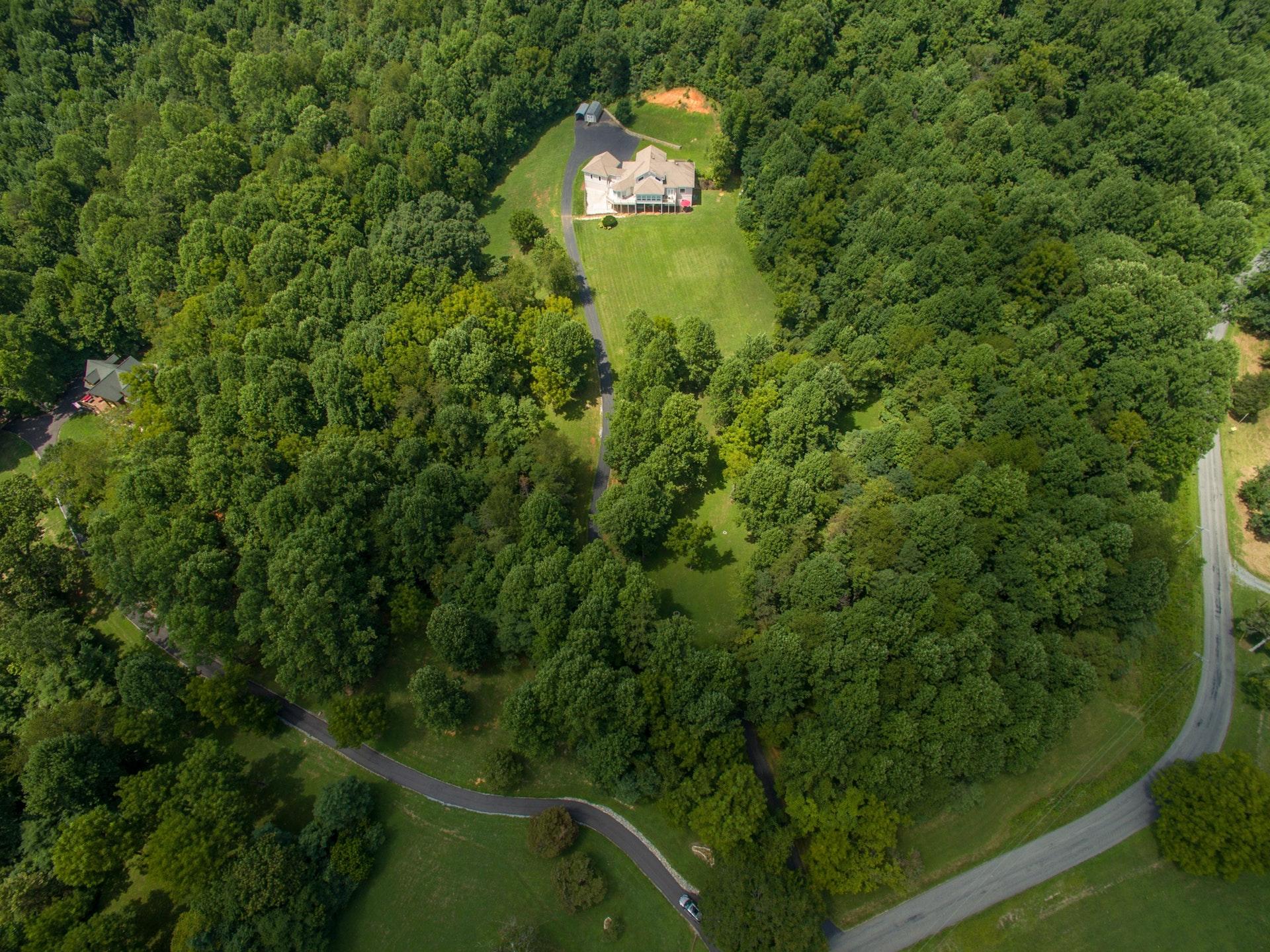 646 Hardbarger Road Buchanan, VA 24066 - Photo 65 of 72 065-245131-646 Harbarger 08092017 6_5486