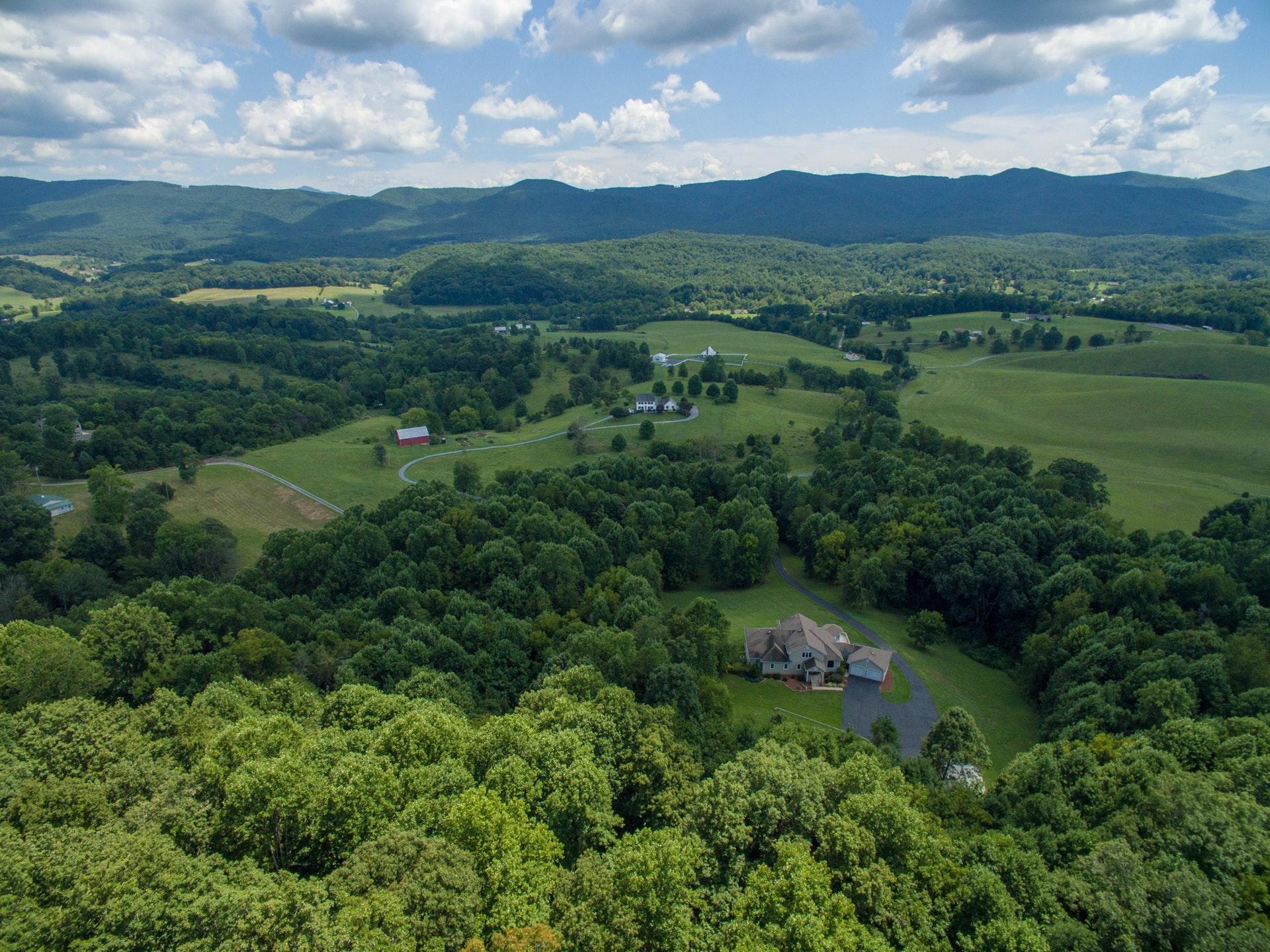 646 Hardbarger Road Buchanan, VA 24066 - Photo 68 of 72 068-245131-646 Harbarger 08092017 9_5486