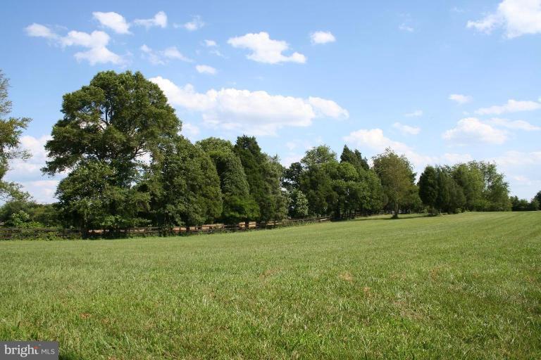 4609 Sudley Road Catharpin, VA 20143 - Photo 2 of 4 Wooded View / Acreage 2