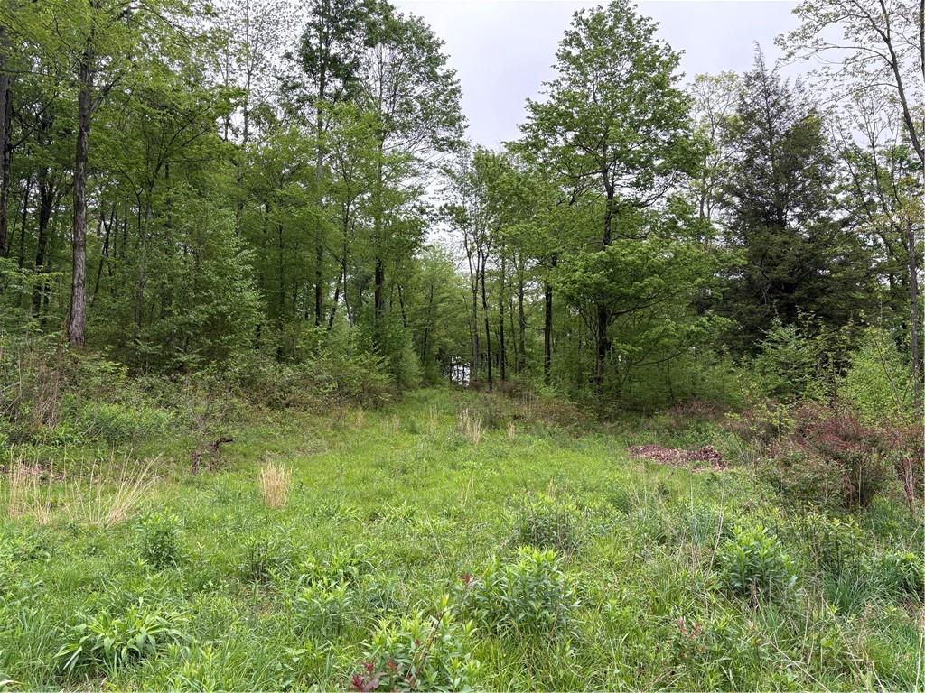 Lot 4 Cranberry Road Confluence, PA 15424 - Photo 2 of 12 a view of outdoor space and green space