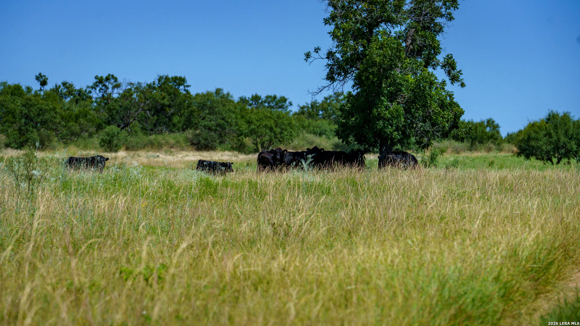 9978 Hay Spring Road Fredonia, TX 76842 - Photo 34 of 50 Gallery Image 34