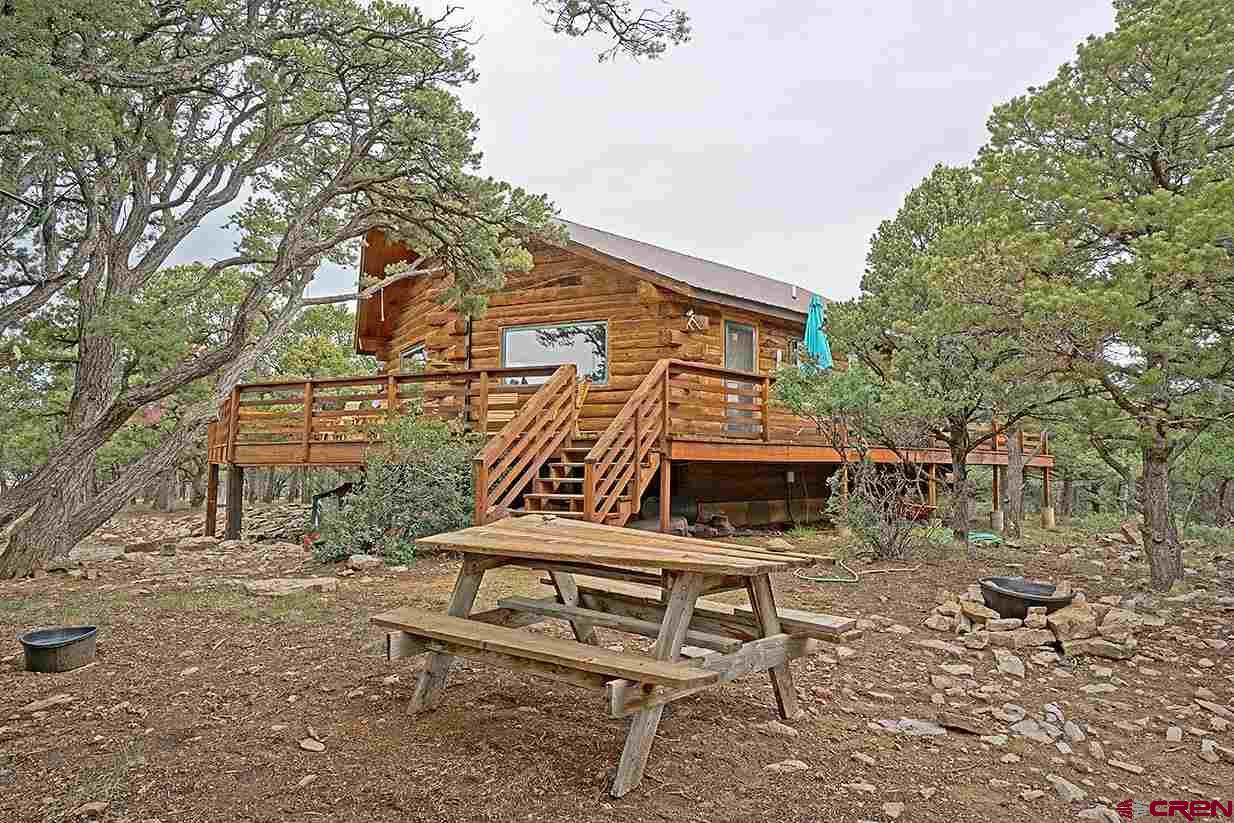 149 Tower Road South Ridgway, CO 81432 - Photo 4 of 28 Gallery Image 4