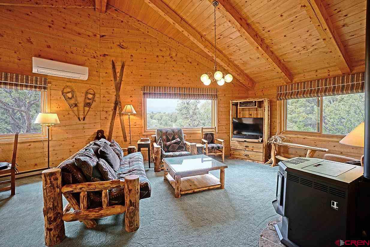 149 Tower Road South Ridgway, CO 81432 - Photo 9 of 28 Gallery Image 9