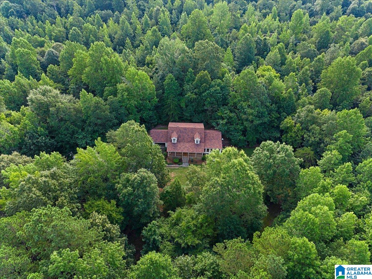 7950 Joy Road Blountsville, AL 35031 - Photo 30 of 35