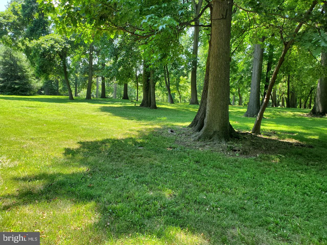 2167 Firethorn Road Middle River, MD 21220 - Photo 24 of 29 Great open space.