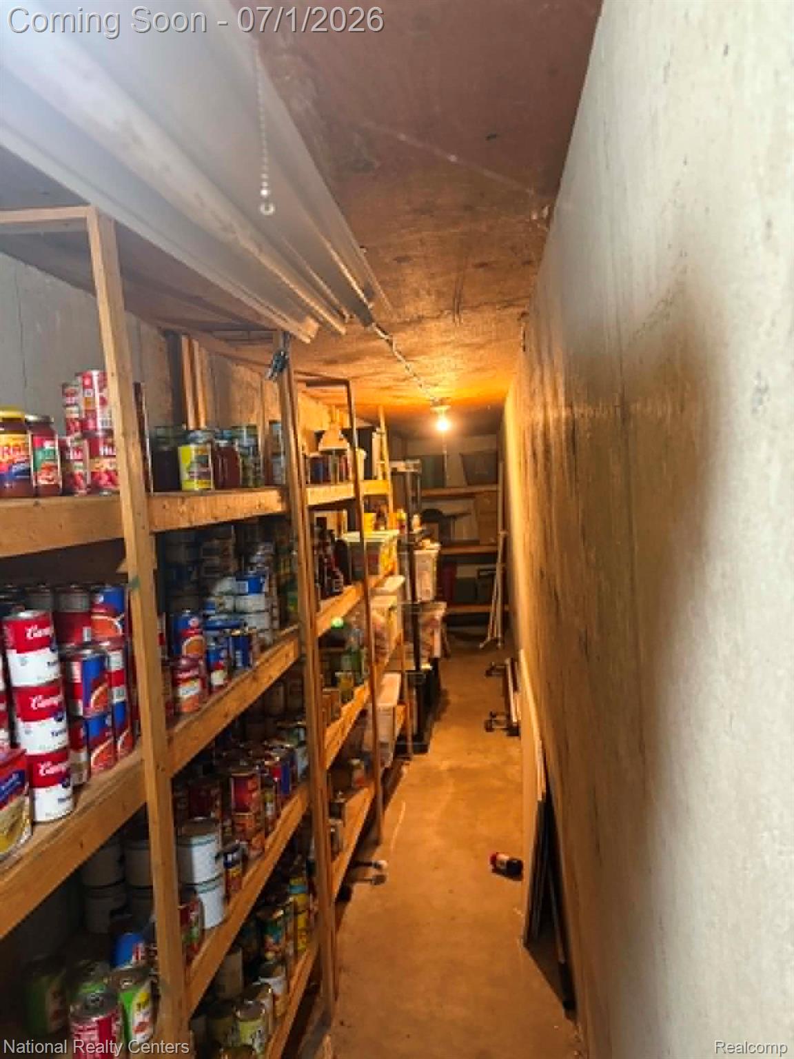 1330 Brauer Road Oxford, MI 48371 - Photo 54 of 54 Utility room featuring extensive built-in wooden shelving, concrete flooring, and overhead lighting