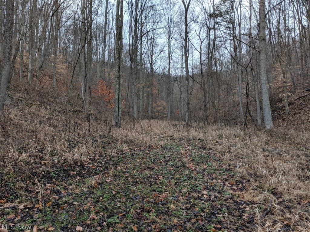 Yeagers Run Road Pennsboro, WV 26415 - Photo 6 of 9