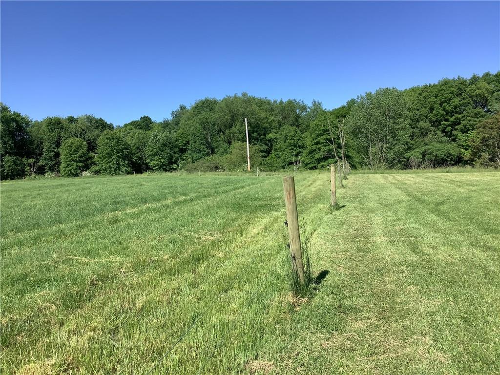 557 Hopper Road Transfer, PA 16154 - Photo 16 of 18 a view of a field with a tree in the background