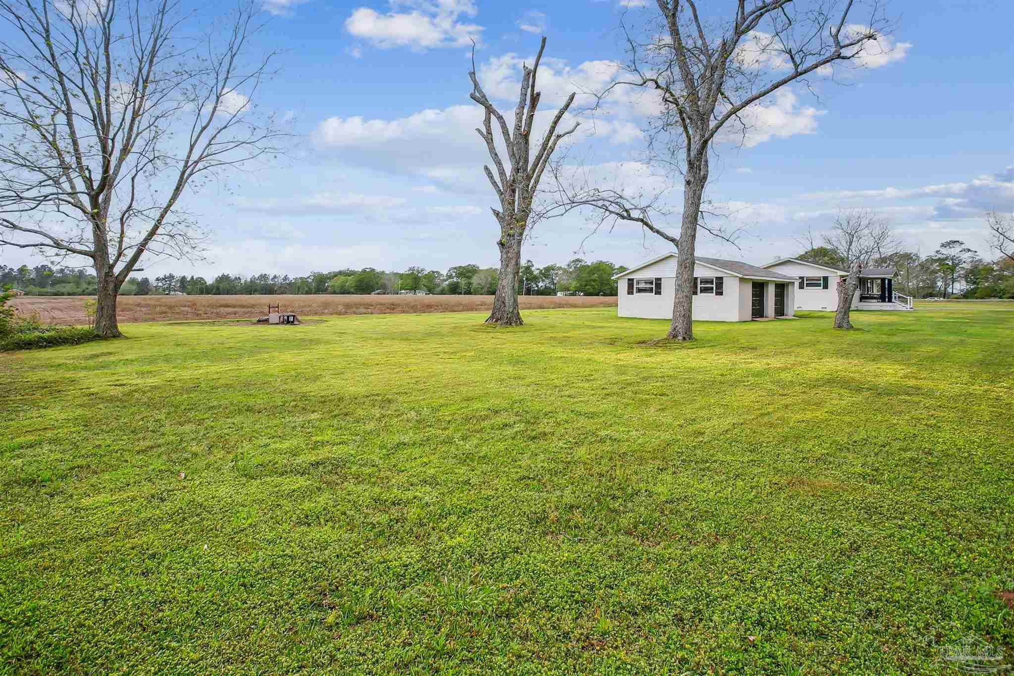 4075 Macks Road Century, FL 32535 - Photo 34 of 35 a big yard with lots of green space and palm trees