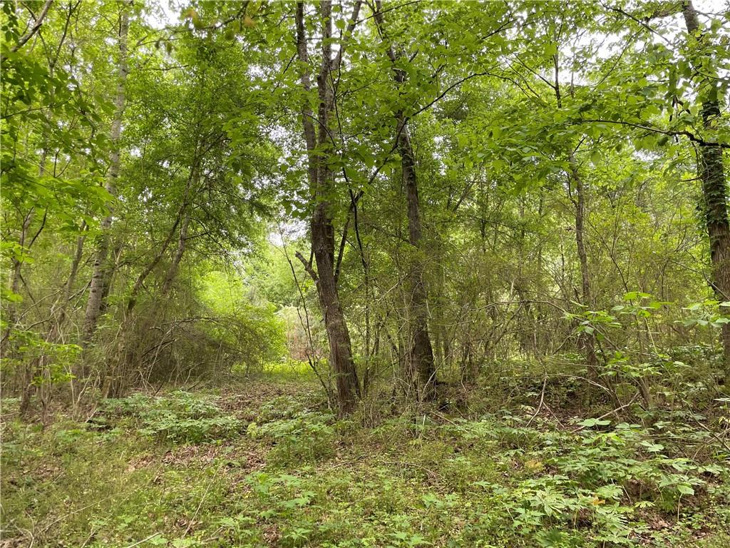 216 McMichen Road Dallas, GA 30157 - Photo 5 of 14 Gallery Image 5