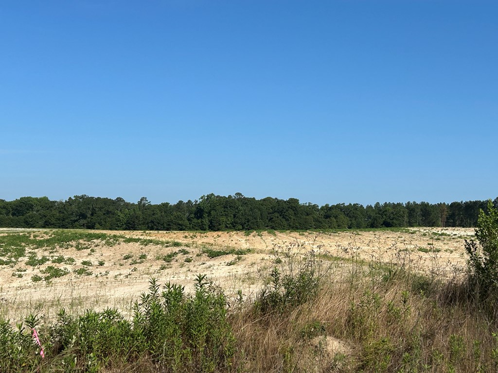40.522-ac Cecil Varnum Road Dothan, AL 36301 - Photo 18 of 38