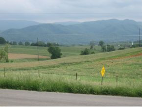 179 Lola Humphreys Road Limestone, TN 37681 - Photo 4 of 12 Awesome view from porch