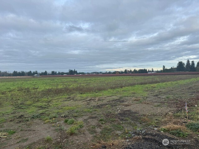 1440 Birch Bay Lynden Road Ferndale, WA 98248 - Photo 2 of 4 a view of a large body of water with lots of trees in it