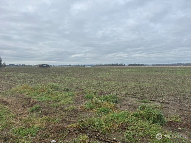 1440 Birch Bay Lynden Road Ferndale, WA 98248 - Photo 4 of 4 a view of an ocean