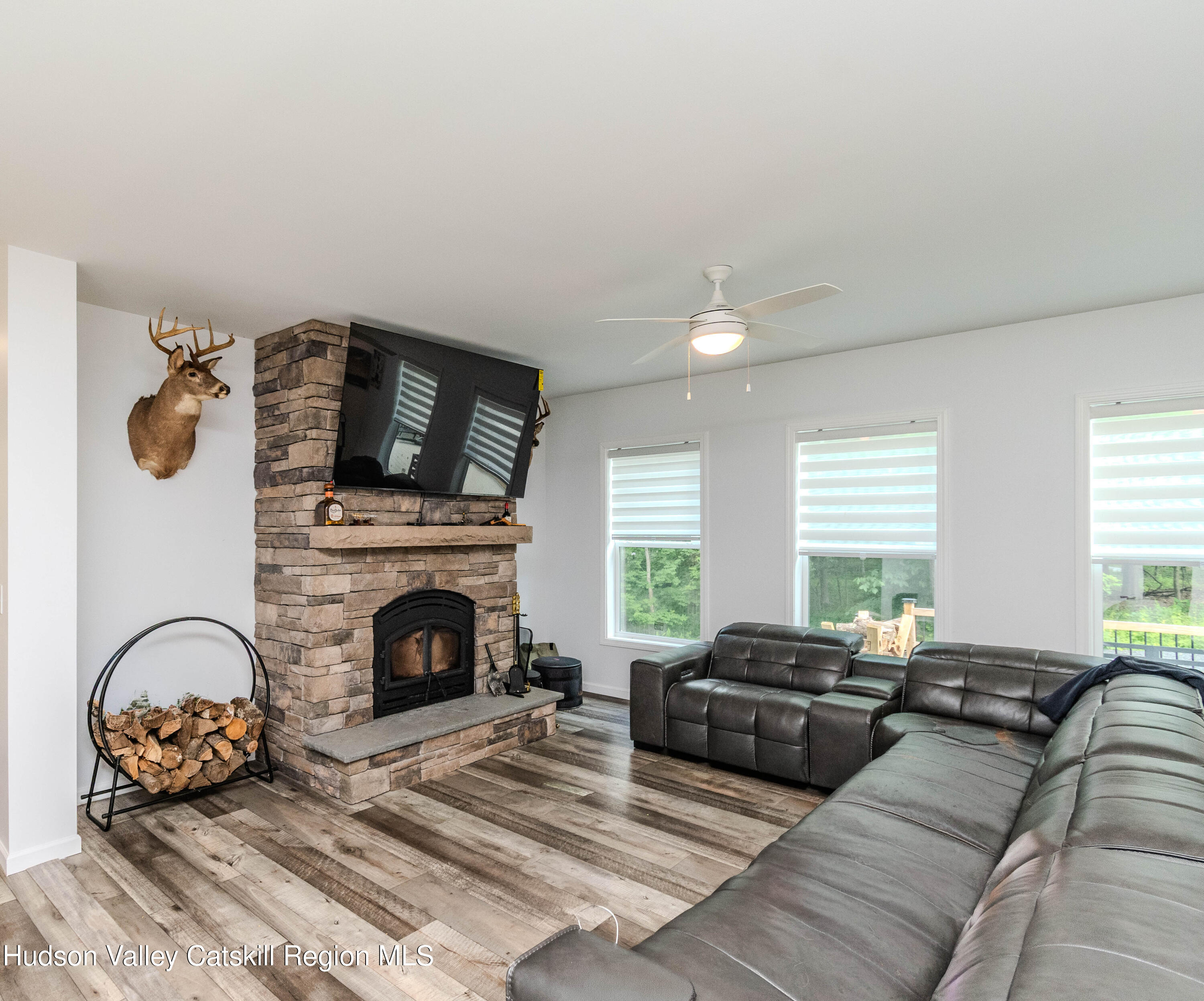 270 Green Lake Road Catskill, NY 12414 - Photo 22 of 66 Living Room 1